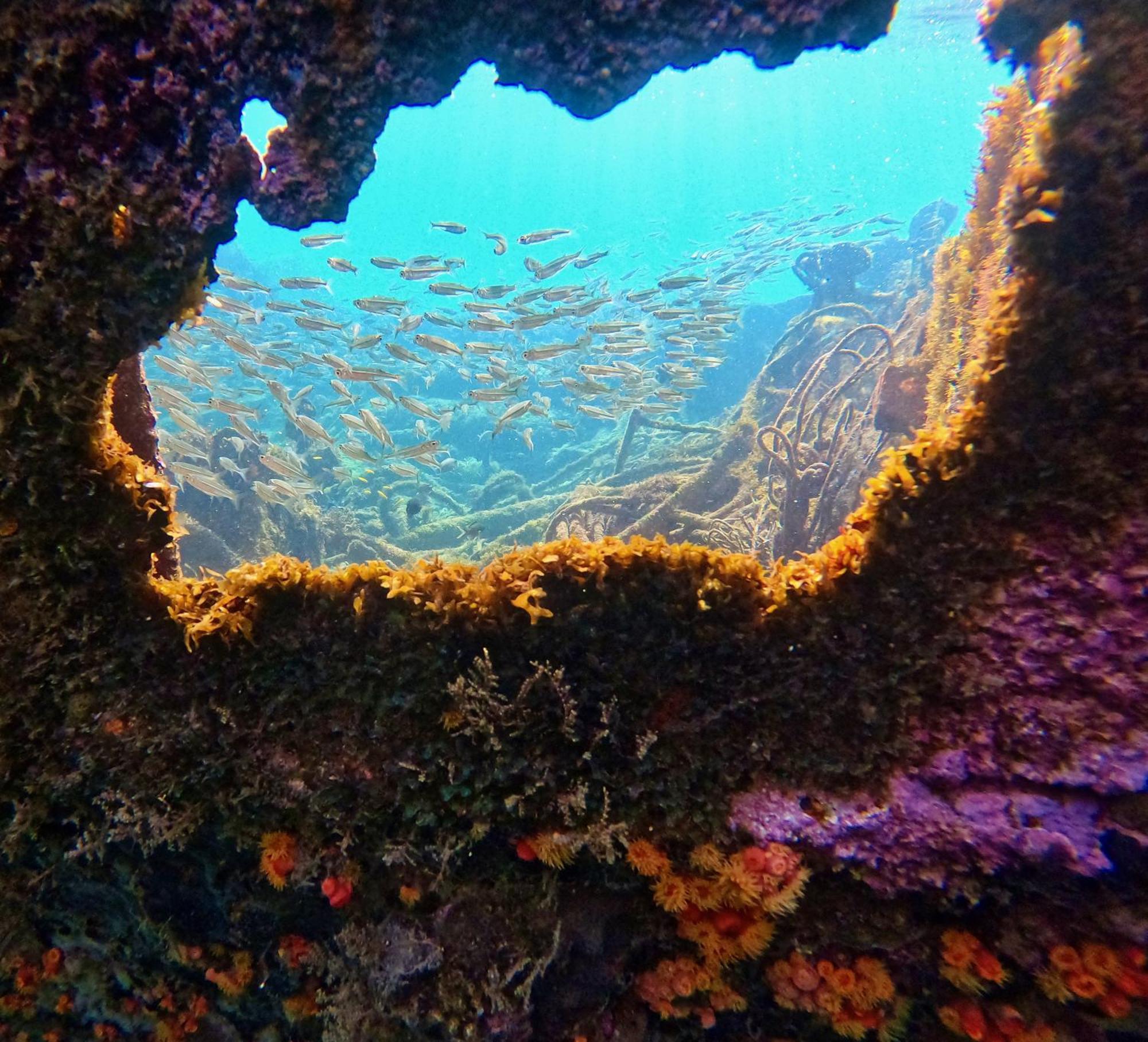 La Plage Martinique Schoelcher Kültér fotó